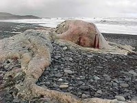 /album/nejvetsi-veci-na-svete/kgio-jpg/