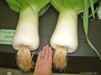 /album/nejvetsi-veci-na-svete/%c2%a8jkguohililk-jpg/