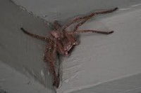 /album/nejvetsi-veci-na-svete/jkuil-jpg/