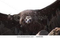 /album/nejvetsi-veci-na-svete/jkuiogpi-jpg/