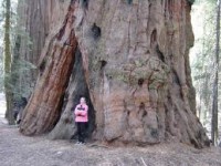 /album/nejvetsi-veci-na-svete/rthtcjlrbjkhltkl-jpg/