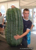 /album/nejvetsi-veci-na-svete/vizgvz-jpg/